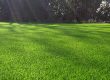 natural landscape artificial grass for garden outdoor backyard backdrop landscape swimming pool wedding decorative pets dogs