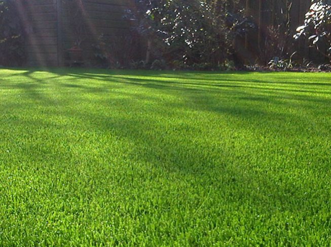 natural landscape artificial grass for garden outdoor backyard backdrop landscape swimming pool wedding decorative pets dogs