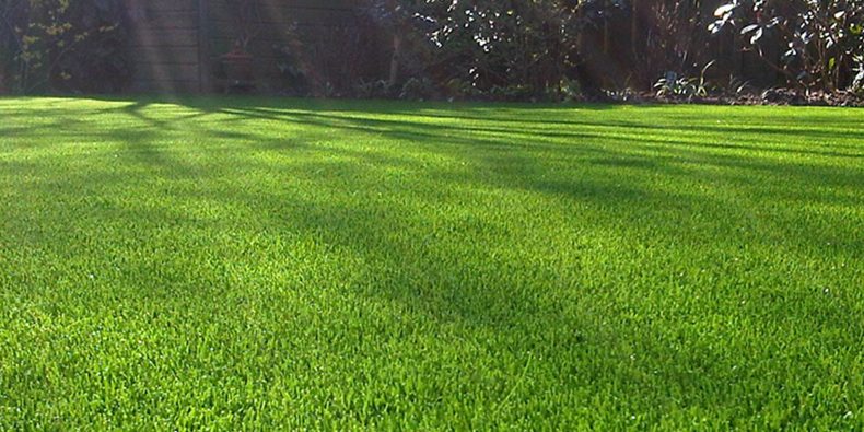 HTB1qwo2JVmWBuNjSspdq6zugXXax natural landscape artificial grass for garden outdoor backyard backdrop landscape swimming pool wedding decorative pets dogs